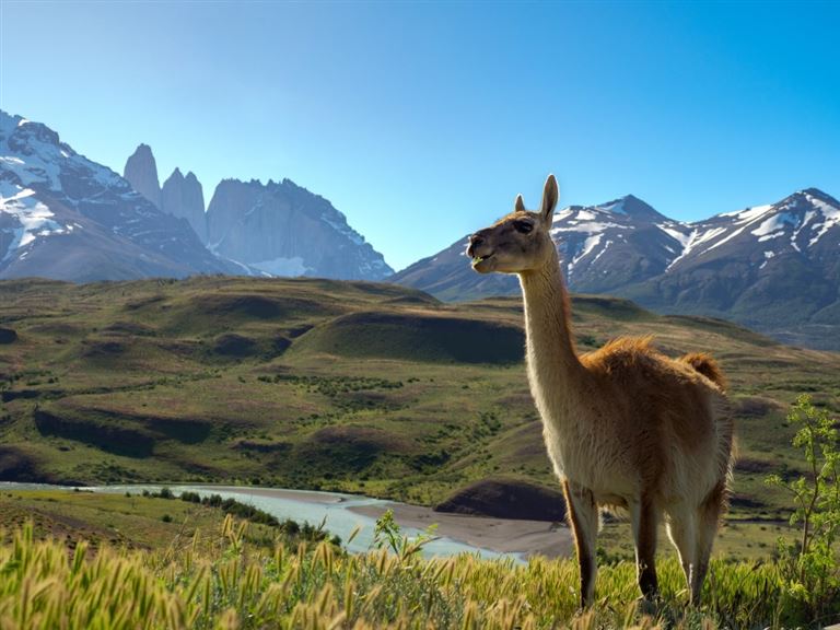 Höhepunkte Chiles und Argentiniens (- Brasilien) ©AmelieundNiklas/adobestock